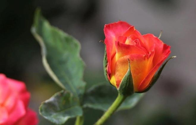 转币不到账_chia转币不到账_im钱包转账失败币没有了