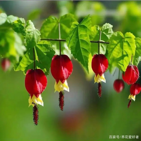 imtoken开源_开源节流_开源生鲜配送系统