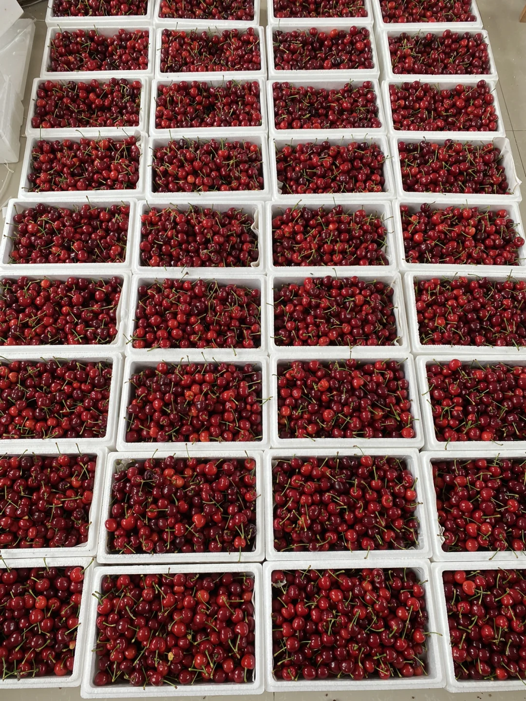 假钱包怎么制作的_假微信钱包生成器app_im钱包假u生成