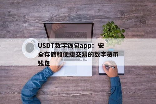 数字钱包能买usdt吗,安全便捷的数字货币交易方式