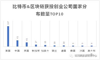 什么公司可以投比特币,机遇与挑战并存