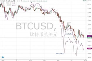 tcc比特币中国欣月,国产区块链项目的崛起与展望