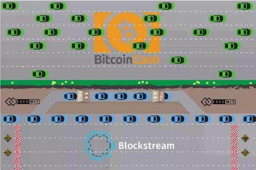 比特现金分叉出什么币,从比特币衍生的新加密货币之路