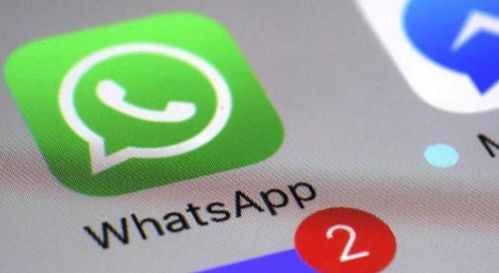 whatsapp打电话没有画面,WhatsApp电话新体验