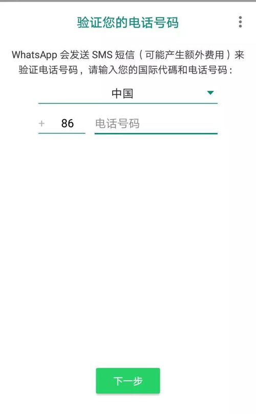 whatsapp攻略,解锁聊天新境界