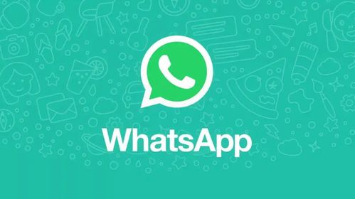 whatsapp封号如何解决,全面解析与实操指南