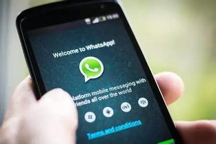 whatsapp 两个钩代表啥,揭秘消息发送与阅读状态的秘密