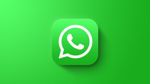 whatsapp波浪号,连接世界的涟漪效应