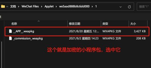 WhatsApp反编译源码分析,揭秘即时通讯应用的内部机制