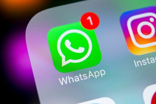 whatsapp发消息勾会变蓝色,功能原理与隐私影响解析