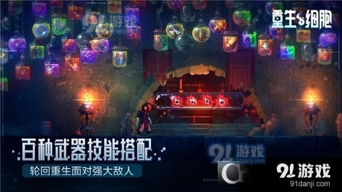 派对策划人 