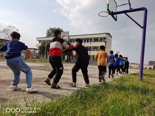 小学五年级英语 
