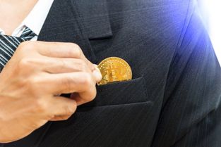 加密货币定位是啥意思,探索数字资产在金融体系中的角色与未来趋势