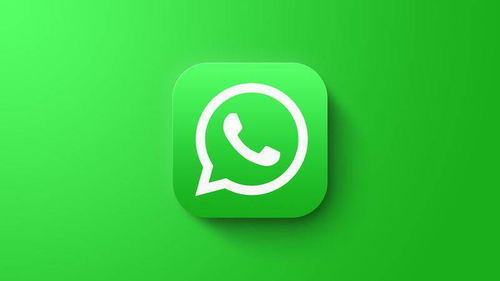 WhatsApp_百科TA说,揭秘全球最受欢迎的即时通讯应用