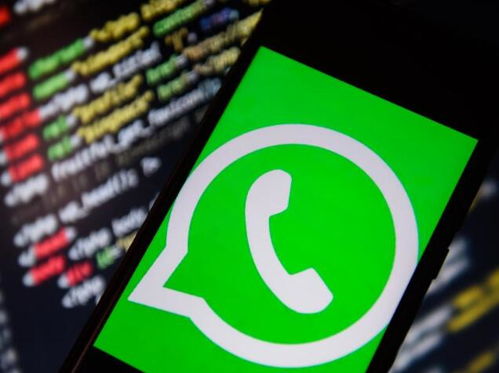 Whatsapp15,揭秘最新版本的创新功能与升级亮点