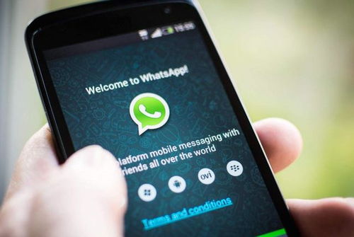 whatsapp发送成功 蓝色对号,揭秘消息发送成功的秘密