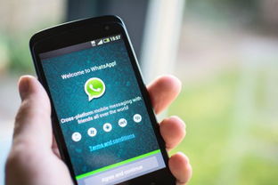 whatsapp 数据营销,解锁全球市场的新机遇与策略
