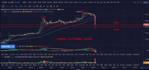 加密货币的交易下限,市场动态与风险预警