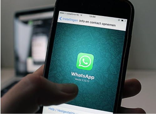 国内手机注册的whatsapp账号是什么,揭秘国内手机注册WhatsApp账号的