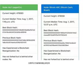 加密货币分叉链是什么,技术演变与市场影响解析
