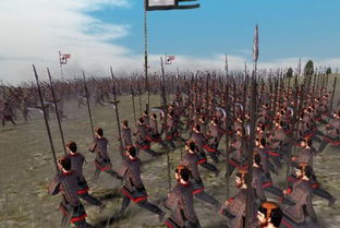 宠物王国单机破解版 