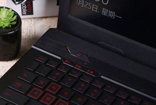 什么什么里奥冒险 