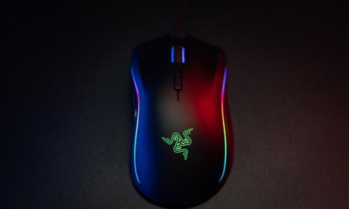 鼠标连点器免费版 